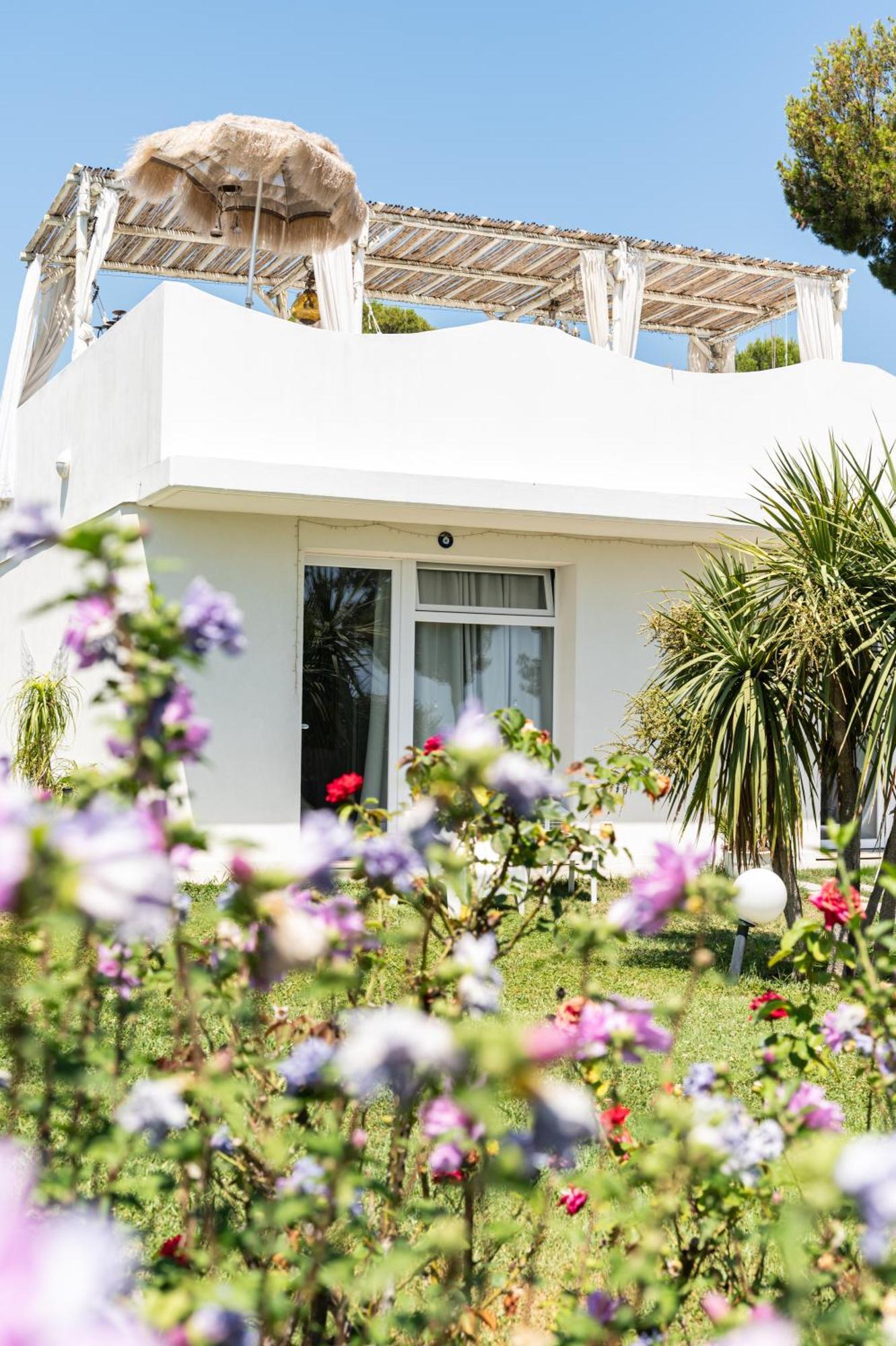Tropical Bed & Breakfast