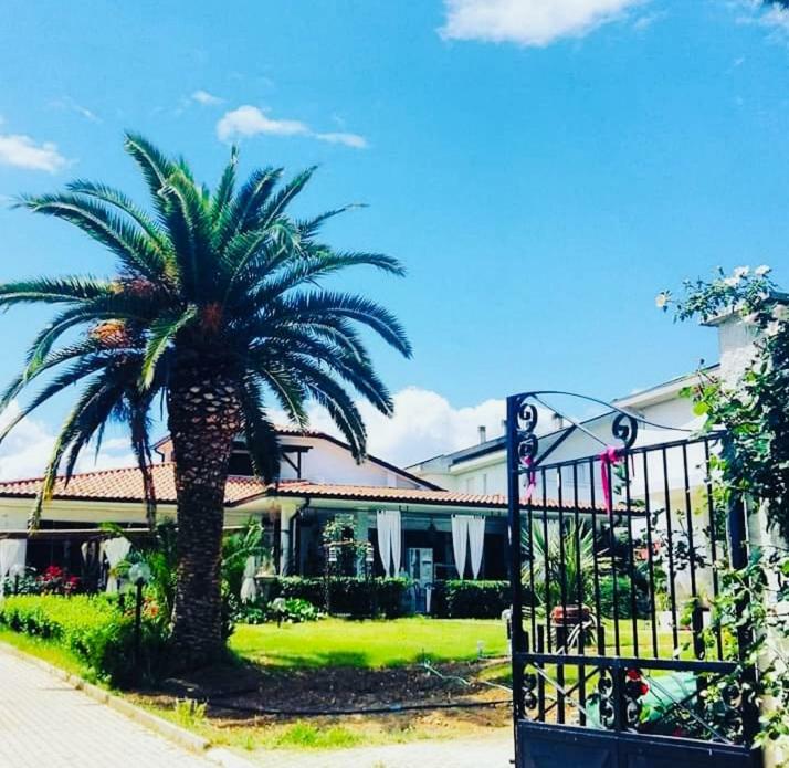 Tropical Bed & Breakfast